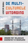 De multiculturele uitdaging - Frans Wijsen - 9789048553617
