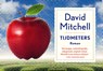 Tijdmeters - David Mitchell - 9789049805449