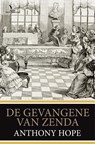 De gevangene van Zenda - Anthony Hope - 9789049901974