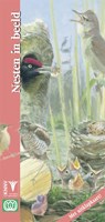 Nesten in beeld - Barbara Rijpkema - 9789050113236