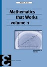 Mathematics that Works 1 - Maarten de Gee - 9789050411677
