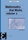 Mathematics that Works 2 - Maarten de Gee - 9789050411684