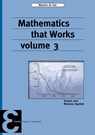 Mathematics that Works 3 - Maarten de Gee - 9789050411691