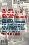 In het spoor van Domela Nieuwenhuis - Ron Blom - 9789056155698
