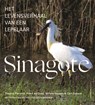 Sinagote - Theunis Piersma ; Petra de Goeij ; Willem Bouten ; Carl Zuhorn - 9789056157227