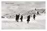 Buiten zinnen/Losing our minds - Benno Barnard - 9789056552893