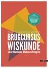 Brugcursus wiskunde - Philippe Carette ; Marie-Anne Guerry ; Peter Theuns ; Camille Vanderhoeft - 9789057182716