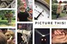 Picture this! -  - 9789058719782