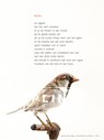 Plint Poeziekaarten Navulset 'Dectie' Hans Hagen -  - 9789059306042