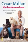Wat honden ons leren - Cesar Millan - 9789059567429