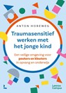 Traumasensitief werken met het jonge kind - Anton Horeweg - 9789059961708