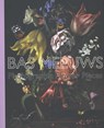 Bas Meeuws - Karine van 't  Land; Fred G. Meijer - 9789061094753