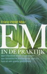 EM in de praktijk - F.-P. Mau - 9789062244720