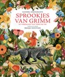 Sprookjes van Grimm - Sandra Dieckmann - 9789062389407