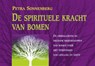 De spirituele kracht van bomen - Petra Sonnenberg - 9789063784072