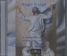 Angel wings -  - 9789065860897