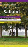 Wandelen in het hart van Salland - Maarten Metz - 9789078641315