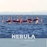 Nebula - Ronald Faber - 9789079588565