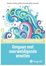 Omgaan met overweldigende emoties - M. MacKay ; J. Wood ; J. Brantley - 9789079729012