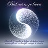 Balans in je Leven -  - 9789079995974