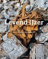 Levend ijzer - Vanessa Everts ; Pauline Van Lynden - 9789081185066