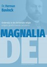 Magnalia Dei - Herman Bavinck - 9789081934756