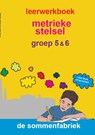 Metrieke stelsel groep 5 & 6 Leerwerkboek - Liesbeth van der Plas - 9789082328370