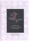 Guide des plantes sauvages du Benelux - R. van der Meijden ; F. Van Rossum - 9789082451153