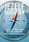 Jezelf Besturen - Heilwine Bakker - 9789082860542