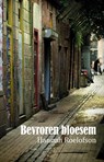 Bevroren bloesem - Hannah Roelofson - 9789083065663