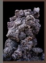 Imaginary Ecologies - Martin Tscholl - 9789083357157
