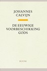 De eeuwige voorbeschikking Gods - Johannes Calvijn - 9789085067993