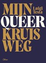 Mijn queer kruisweg - Luigi Testa - 9789085287841