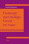 Gedoopt met Heilige geest en vuur - Jo Hanssens - 9789085288084