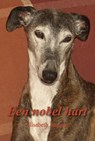 Een nobel hart - Elisabeth Janssen - 9789085704645