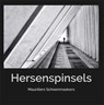Hersenspinsels - Mauriel Schoenmaekers - 9789086664184