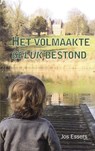 Het volmaakte geluk bestond - Jos Essers - 9789086664801