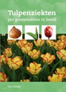 Tulpenziekten - Cor Conijn - 9789087403003
