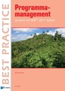 Programmamanagement 2011 - Bert Hedeman - 9789087536916