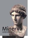 Minerva 2 - Jori Castricum ; Charles Hupperts ; Niels Koopman ; Maarten Prot ; Riemer van der Veen - 9789087718992