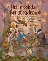 Het mooiste kerstcadeau - Ineke Kraijo - 9789087821173