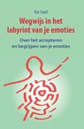 Wegwijs in het labyrint van je emoties - Ilse Sand - 9789088401534