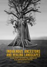 Indigenous Ancestors and Healing Landscapes - Jana Pešoutová - 9789088907623