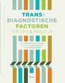 Transdiagnostische factoren - Bas van Heycop ten Ham ; Monique Hulsbergen ; Ernst Bohlmeijer - 9789089532473