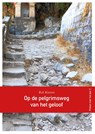 Op de pelgrimsweg van het geloof - Rob G.A. Kurvers - 9789089721129