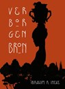Verborgen bron - Ibrahim Ineke - 9789089883100