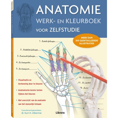 Anatomie werk- en kleurboek voor zelfstudie, ASHWELL, Ken - Softcover - 9789089986191