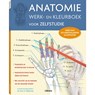 Anatomie werk- en kleurboek voor zelfstudie - ASHWELL, Ken - 9789089986191