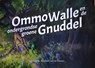 Ommo Walle en de ondergrondse groene gnuddel - Ton Smit - 9789090350714