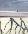 Refugium - Esther Hessing - 9789090368290